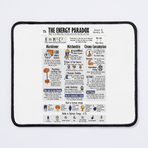 Item preview, Visual Book The Energy Paradox (Steven Gundry) designed and sold by TKsuited.