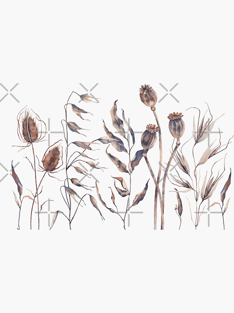 Beige Dried wildflowers  Sticker for Sale by Inna Patiutko