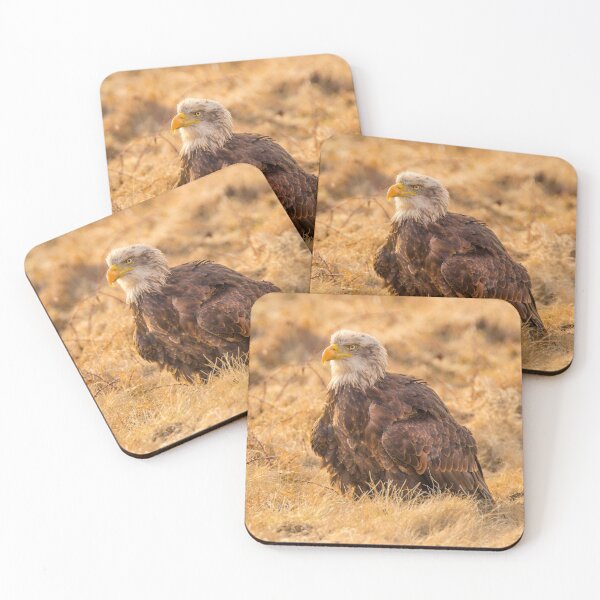 Item preview, Bald Eagle designed and sold by Dave Hare Photography.