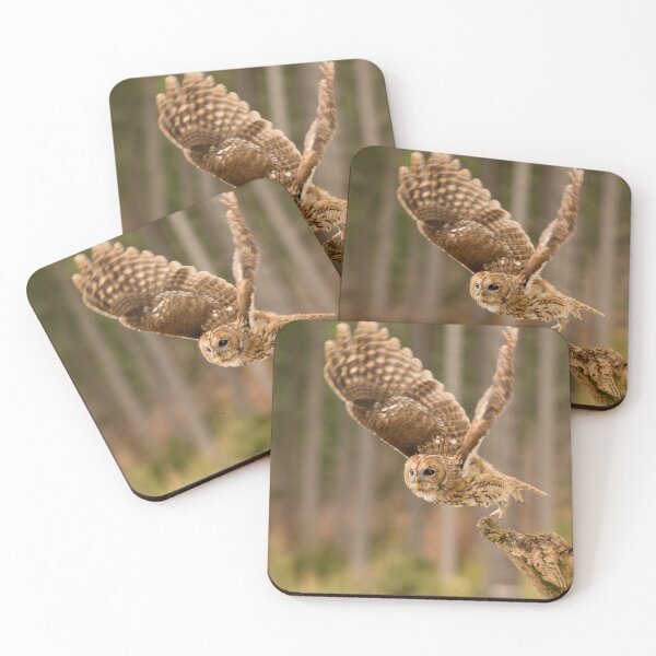 Item preview, Tawny Takeoff designed and sold by Dave Hare Photography.