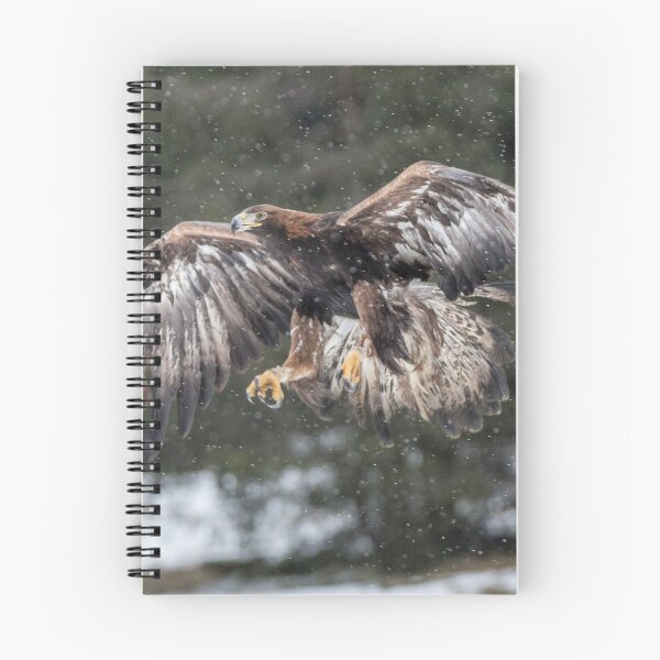 Item preview, Eagle in the snow. designed and sold by Dave Hare Photography.