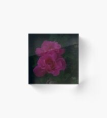 Beauty at Night Acrylic Block