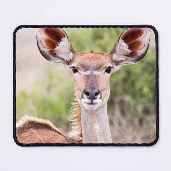 Item preview, Female Kudu Portrait - Krüger National Park designed and sold by holgermader.