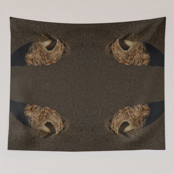 Item preview, Weathered Whelk on Fahan Beach designed and sold by George Row.