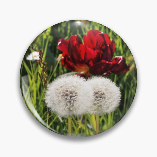 Item preview, Dandelions with Red in Radolfzell - Lake Constance designed and sold by holgermader.