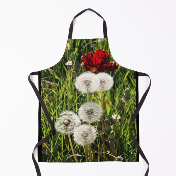 Item preview, Dandelions with Red in Radolfzell - Lake Constance designed and sold by holgermader.
