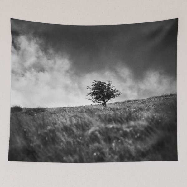 Item preview, Single Tree on Dartmoor designed and sold by Dave Hare Photography.