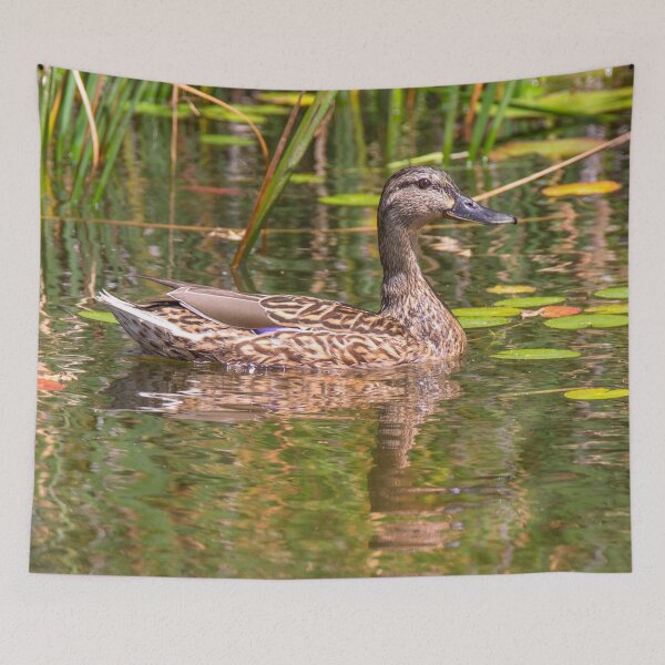Artikelvorschau, Quacker entworfen und verkauft von Dave Hare Photography.