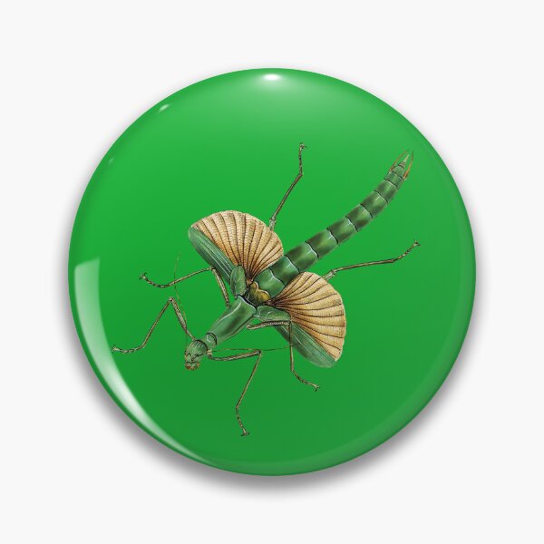 Item preview, Big green stick insect. designed and sold by Luggnagg.