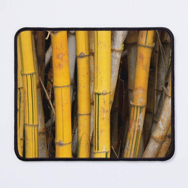 Item preview, The Bamboo Stalk. designed and sold by VgBingi.