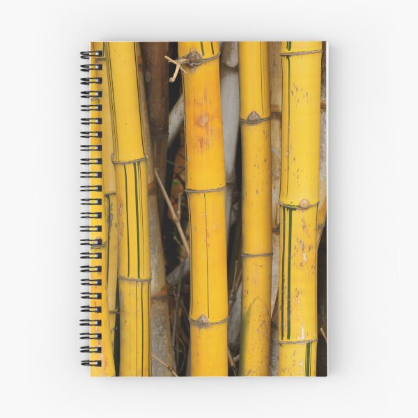 Item preview, The Bamboo Stalk. designed and sold by VgBingi.