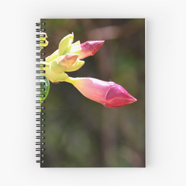 Item preview, Allamanda Blanchetii Flowers. designed and sold by VgBingi.