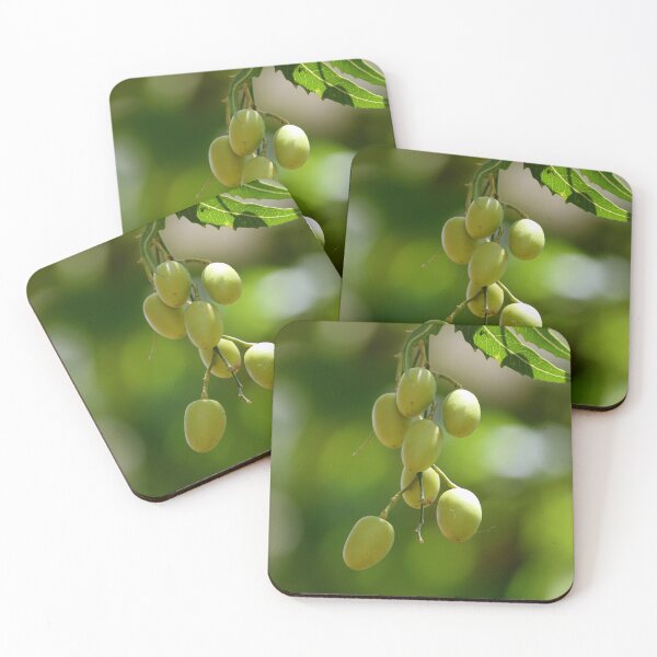 Item preview, Neem Fruits designed and sold by VgBingi.