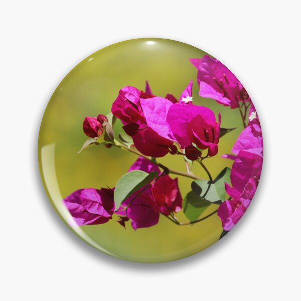 Item preview, Bougainvillea Flowers. designed and sold by VgBingi.