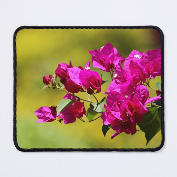 Item preview, Bougainvillea Flowers. designed and sold by VgBingi.