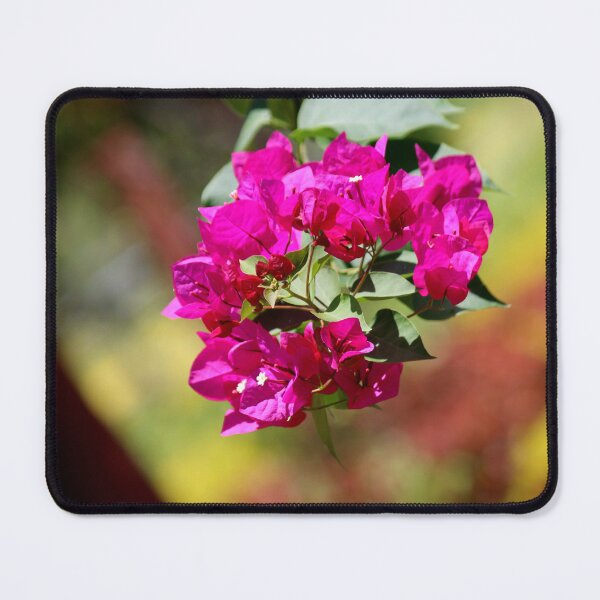 Item preview, Bougainvillea Flowers. designed and sold by VgBingi.
