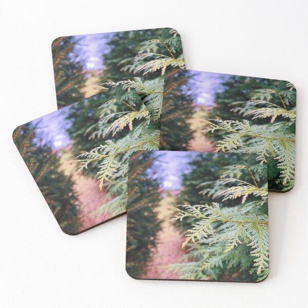 Item preview, Pine Tree Branches  designed and sold by Wildwood Flower Photography Co. by Tamara Black.
