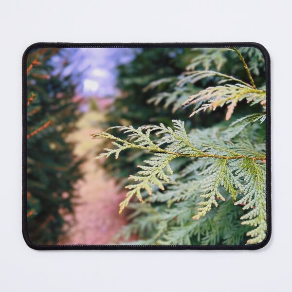 Item preview, Pine Tree Branches  designed and sold by Wildwood Flower Photography Co. by Tamara Black.