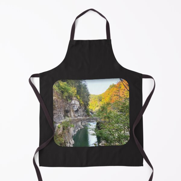 Item preview, Stone Footbridge Over Genesee River Below the Lower Falls, Letchworth State Parkk designed and sold by TechLaughs.
