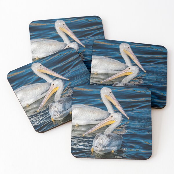 Item preview, Pair of American White Pelicans designed and sold by Debra Martz.
