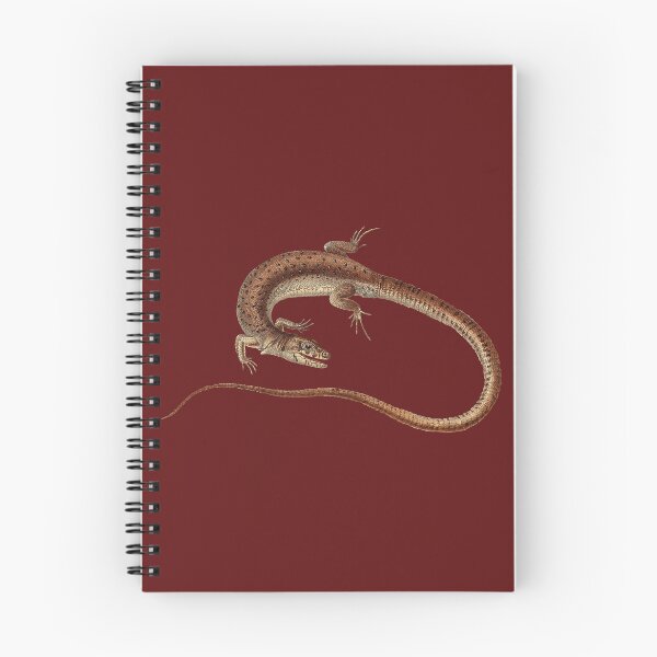 Item preview, Vintage Lizard Scientific Illustration designed and sold by InnerCitadel.
