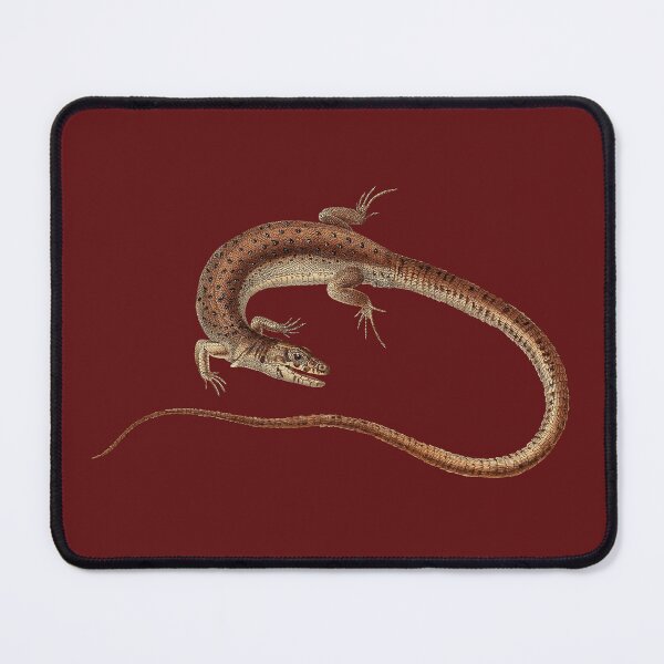 Item preview, Vintage Lizard Scientific Illustration designed and sold by InnerCitadel.