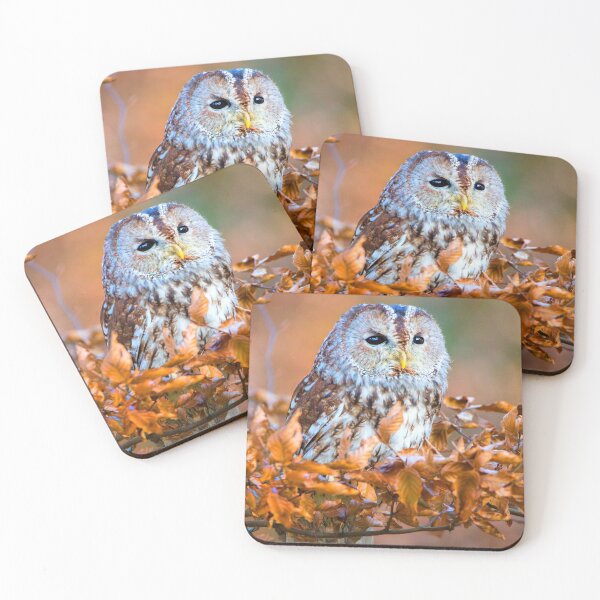 Item preview, Tawny Owl designed and sold by Dave Hare Photography.