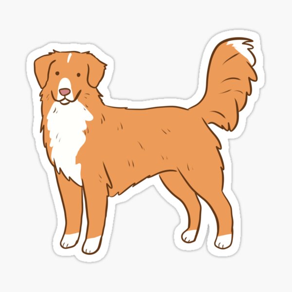 Nova scotia duck shop tolling retriever gifts