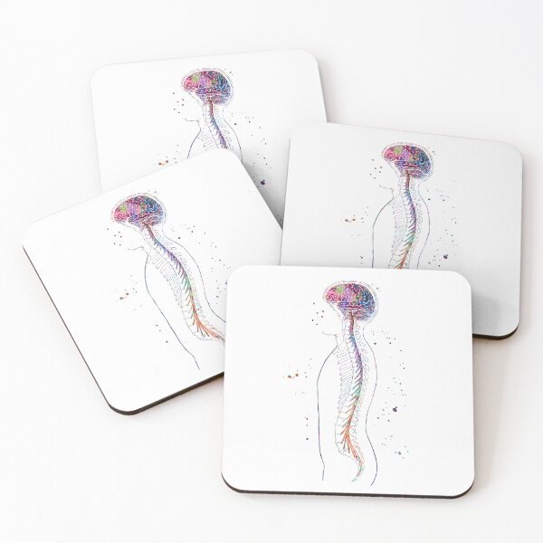 Item preview, Nervous System Brain and Spinal Cord designed and sold by EvasDreams.