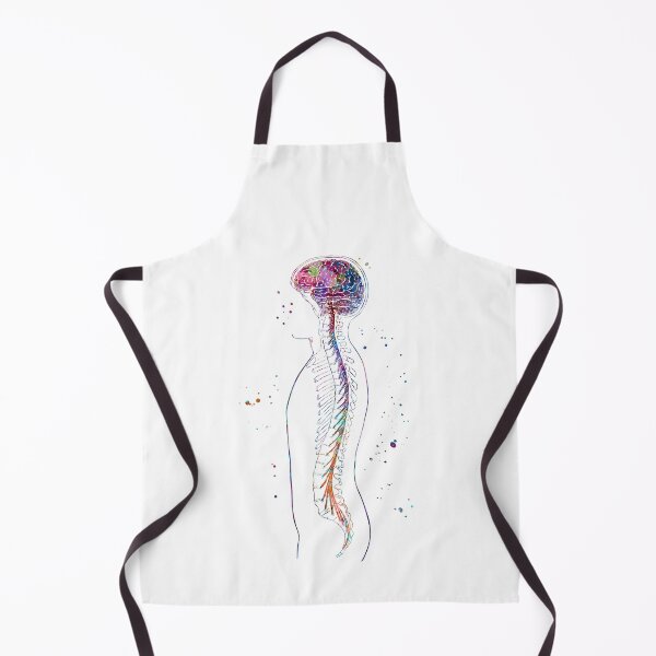 Item preview, Nervous System Brain and Spinal Cord designed and sold by EvasDreams.