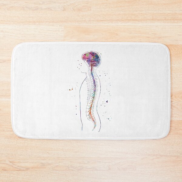 Item preview, Nervous System Brain and Spinal Cord designed and sold by EvasDreams.
