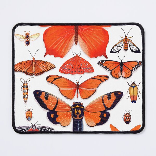 Item preview, Orange Insect Collection designed and sold by Vicky Pratt.