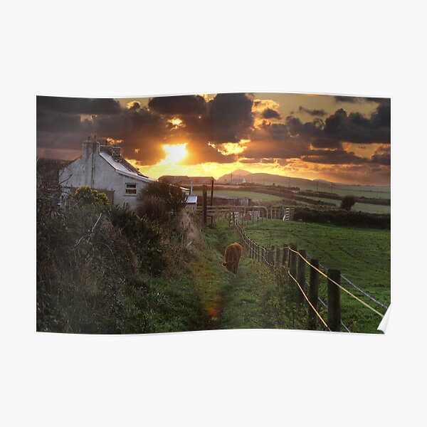 Sunset over the Farm Poster