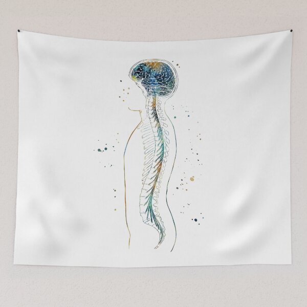 Item preview, Nervous System Brain and Spinal Cord designed and sold by EvasDreams.