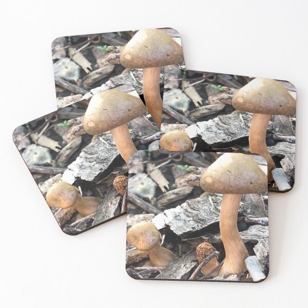 Item preview, Little mushrooms in the woods designed and sold by Paula Betz.