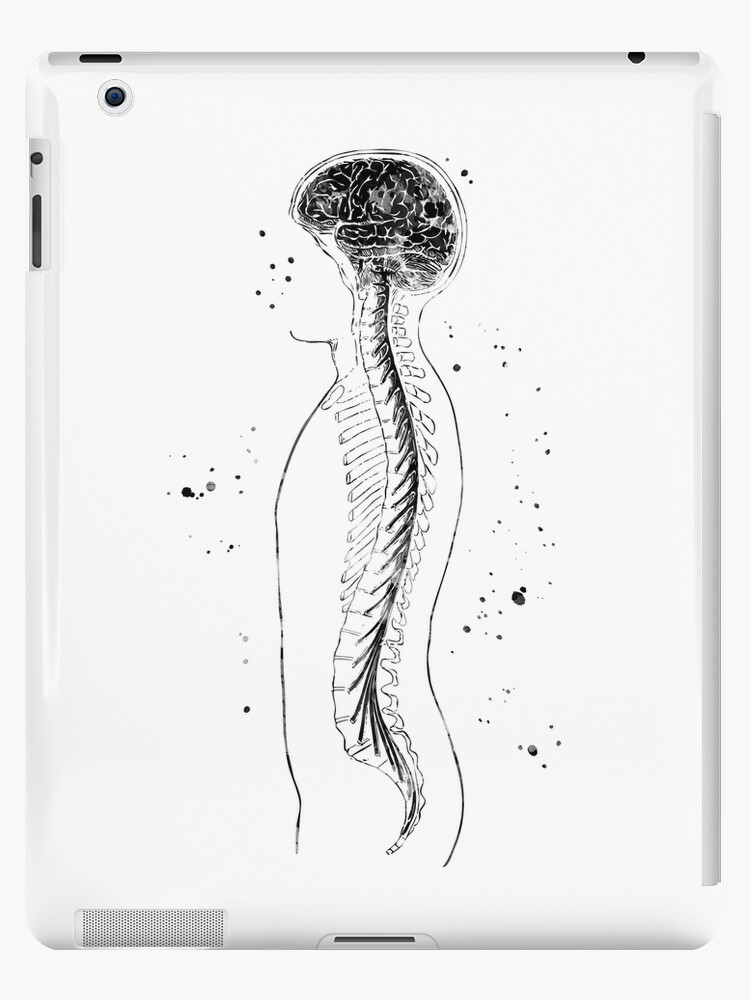 Neuroanatomy: Draw It to Know It for iPad/iPhone
