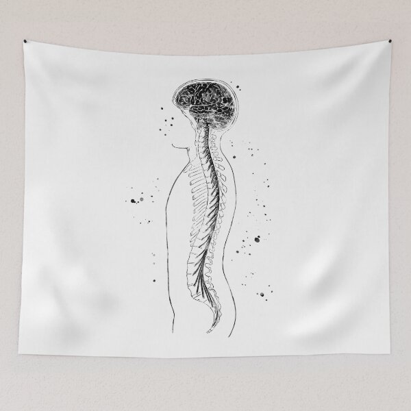 Item preview, Nervous System Brain and Spinal Cord designed and sold by EvasDreams.