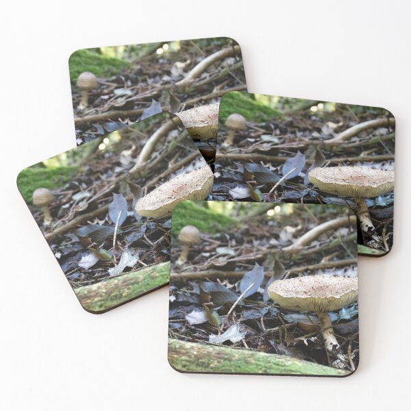 Item preview, Wild Crowded Russula mushrooms designed and sold by J-Brezy.