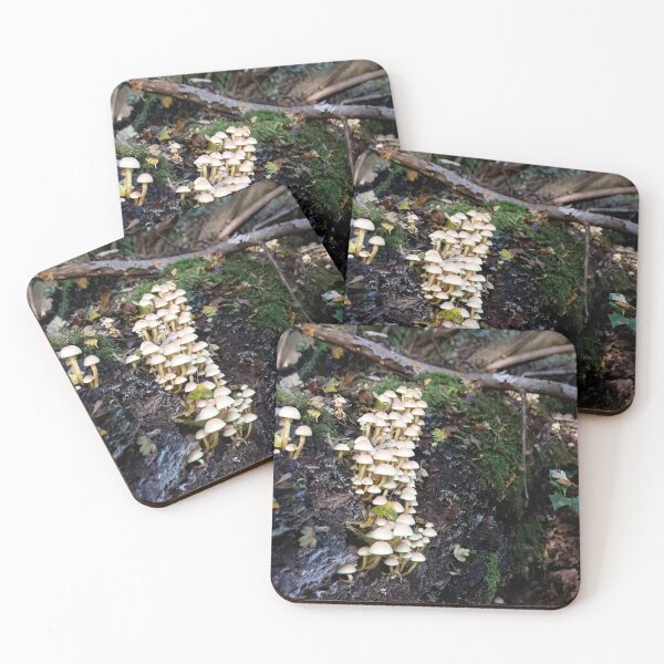 Item preview, Small white wild mushrooms in the uk designed and sold by J-Brezy.