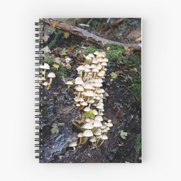 Item preview, Small white wild mushrooms in the uk designed and sold by J-Brezy.