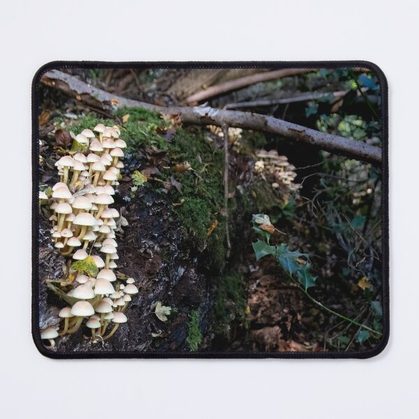 Item preview, Small white wild mushrooms in the uk designed and sold by J-Brezy.