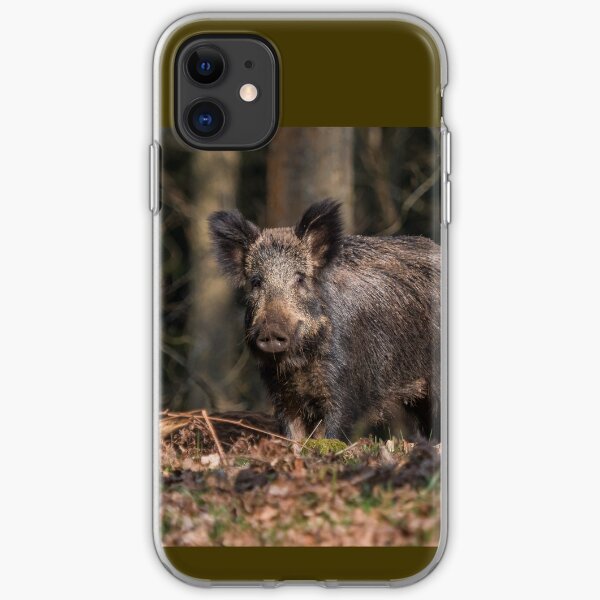 Wild Boar Sow iPhone Soft Case