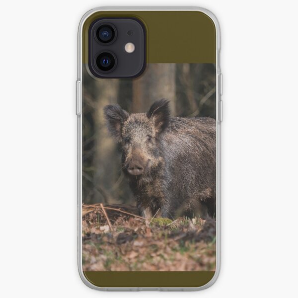 Wild Boar Sow iPhone Soft Case