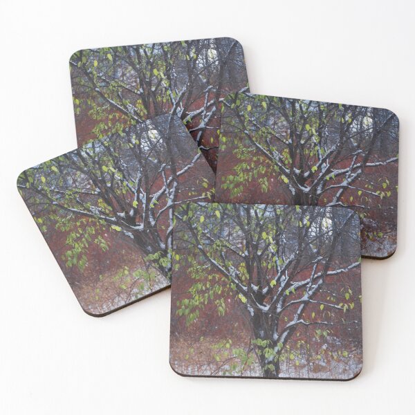 Item preview, Early snow designed and sold by lghtwrkr.