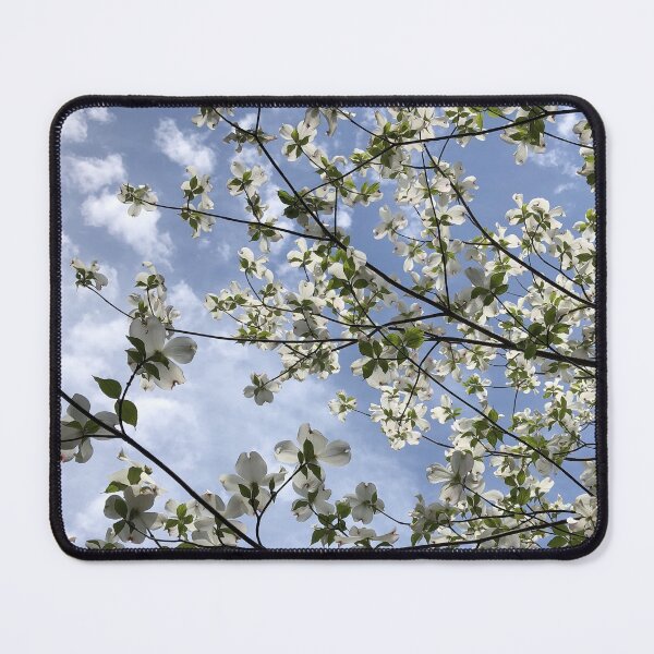 Item preview, White Dogwood Blooms Reaching for the Sky designed and sold by Paula Betz.