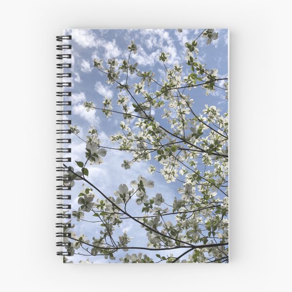Item preview, White Dogwood Blooms Reaching for the Sky designed and sold by Paula Betz.