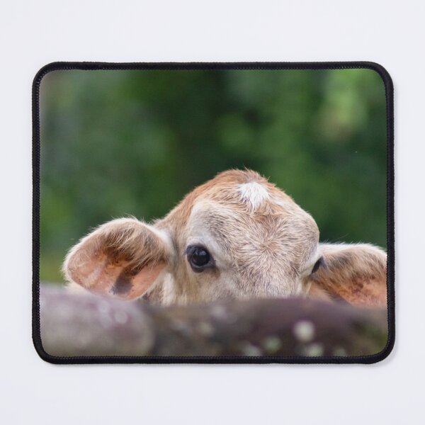 Item preview, the little calf behind the wall designed and sold by ricobarinas.