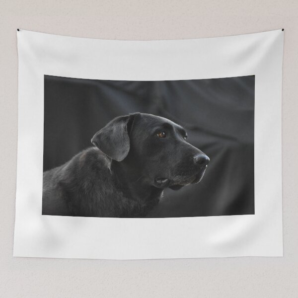 Item preview, A Longing Look designed and sold by athousandwordss.