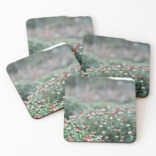 Item preview, Chrysanthemum designed and sold by athousandwordss.