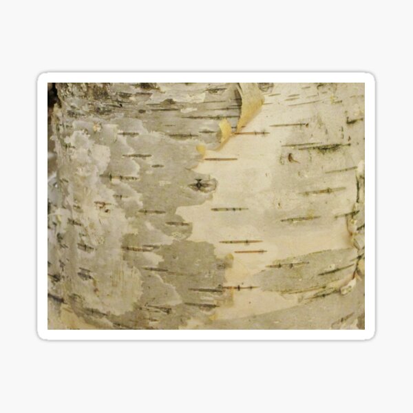 Item preview, Birch Bark Nature Woodsy Outdoors Fashion Camouflage Activewear Accessories designed and sold by Siela.